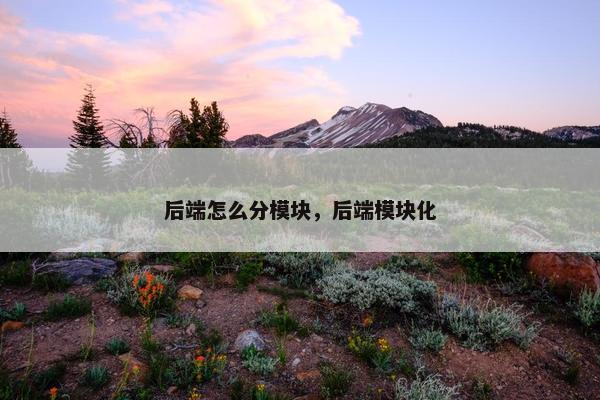 后端怎么分模块，后端模块化