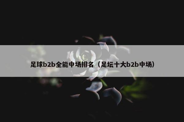 足球b2b全能中场排名（足坛十大b2b中场）