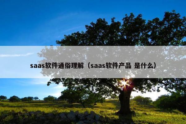 saas软件通俗理解（saas软件产品 是什么）