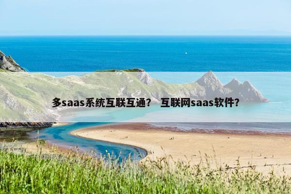 多saas系统互联互通？ 互联网saas软件？