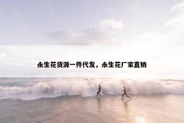 永生花货源一件代发，永生花厂家直销