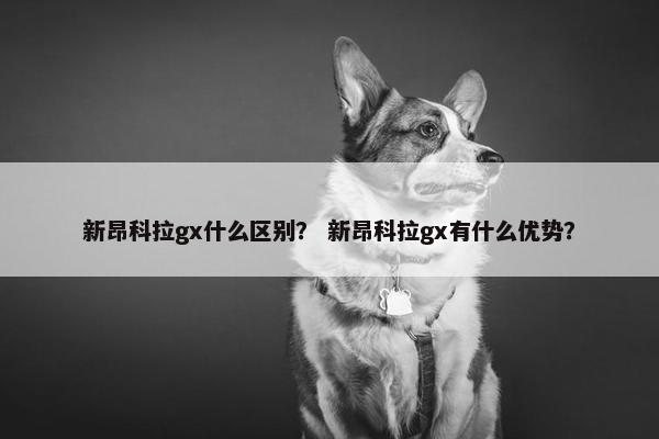 新昂科拉gx什么区别？ 新昂科拉gx有什么优势？