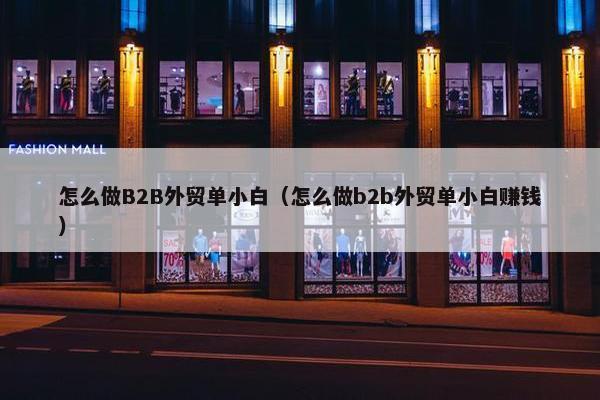 怎么做B2B外贸单小白（怎么做b2b外贸单小白赚钱）