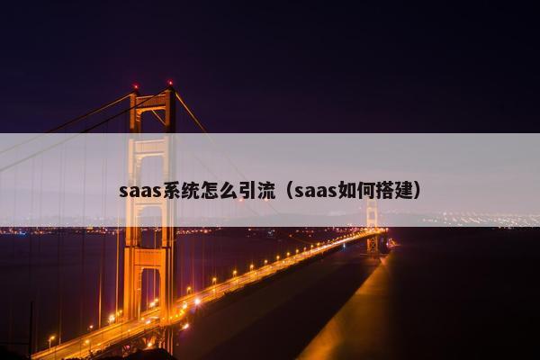 saas系统怎么引流（saas如何搭建）