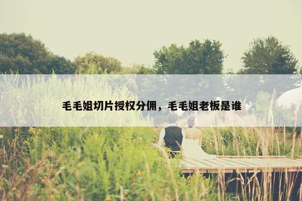 毛毛姐切片授权分佣，毛毛姐老板是谁
