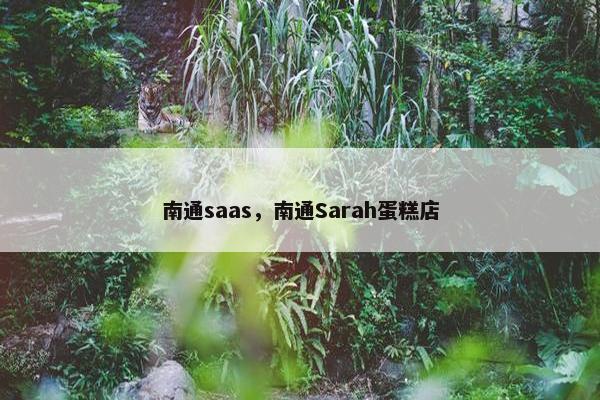 南通saas，南通Sarah蛋糕店