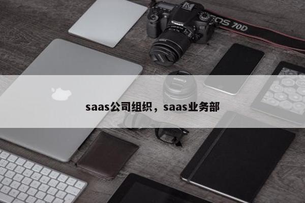 saas公司组织,saas业务部 saas公司组织,saas业务部