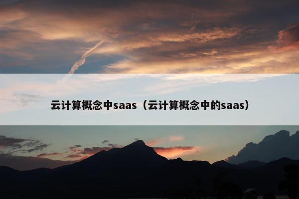 云计算概念中saas（云计算概念中的saas）
