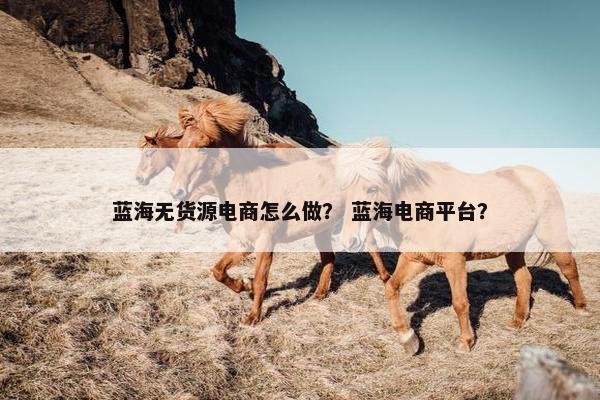 蓝海无货源电商怎么做? 蓝海电商平台? 蓝海无货源电商怎么做? 蓝海电商平台?