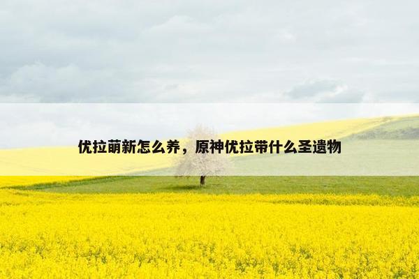 优拉萌新怎么养,原神优拉带什么圣遗物