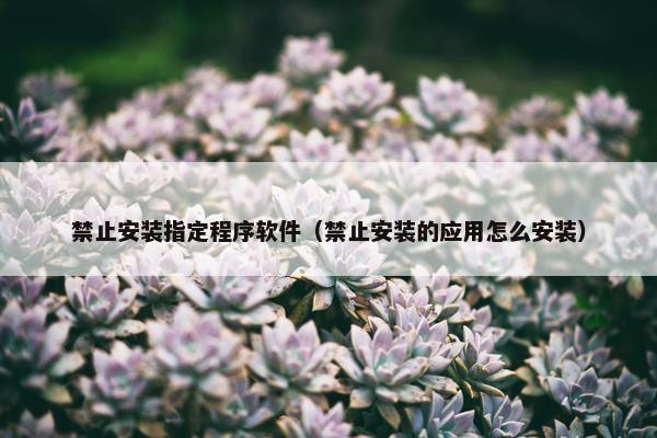 禁止安装指定程序软件（禁止安装的应用怎么安装）