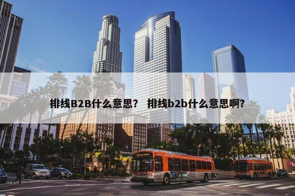 排线B2B什么意思？ 排线b2b什么意思啊？
