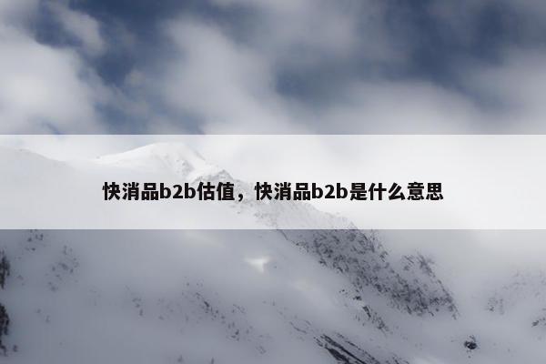 快消品b2b估值，快消品b2b是什么意思