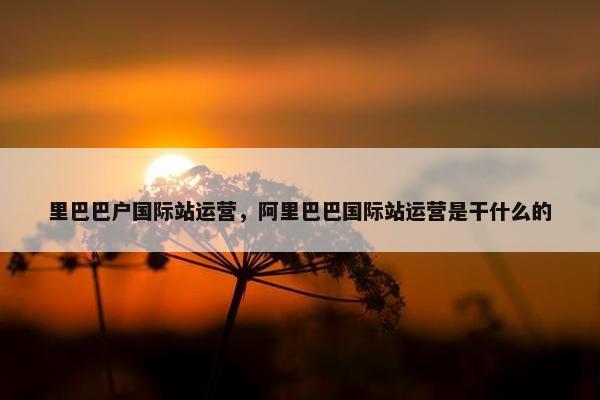 里巴巴户国际站运营，阿里巴巴国际站运营是干什么的