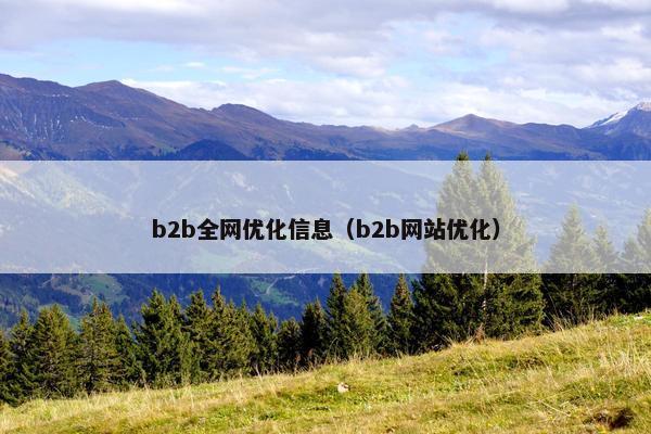 b2b全网优化信息（b2b网站优化）