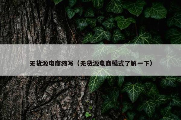 无货源电商缩写(无货源电商模式了解一下) 无货源电商缩写(无货源电商模式了解一下)