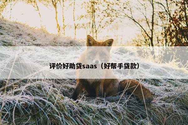 评价好助贷saas（好帮手贷款）