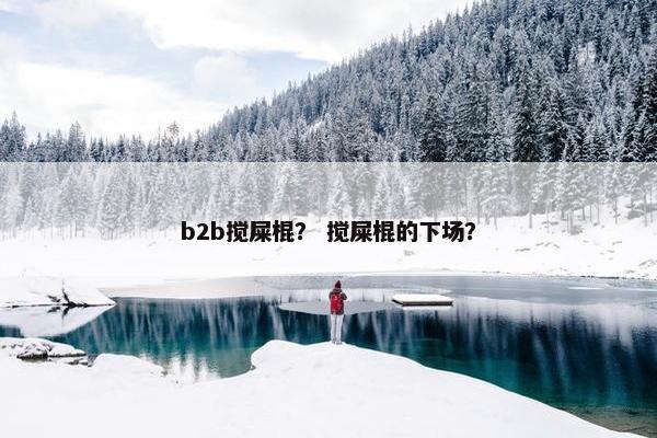 b2b搅屎棍？ 搅屎棍的下场？