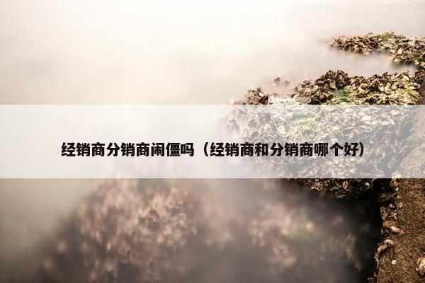 经销商分销商闹僵吗（经销商和分销商哪个好）