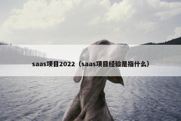 saas项目2022（saas项目经验是指什么）