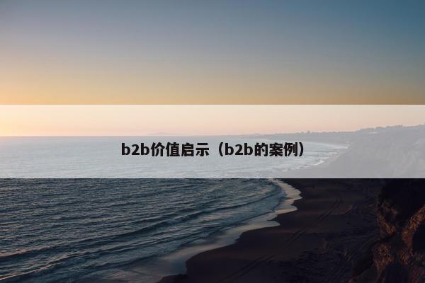 b2b价值启示（b2b的案例）