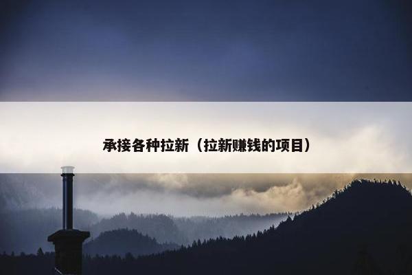 承接各种拉新（拉新赚钱的项目）