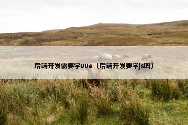 后端开发需要学vue（后端开发要学js吗）