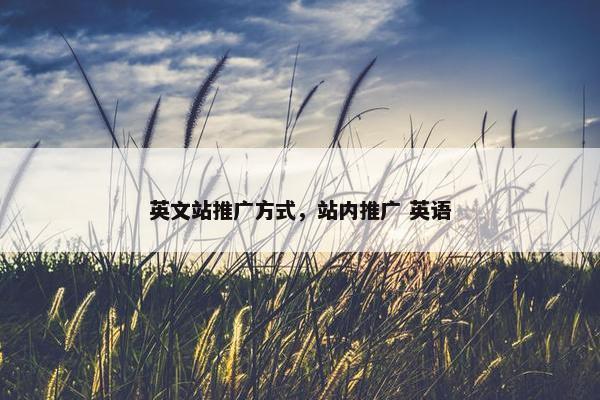 英文站推广方式，站内推广 英语