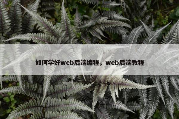 如何学好web后端编程，web后端教程