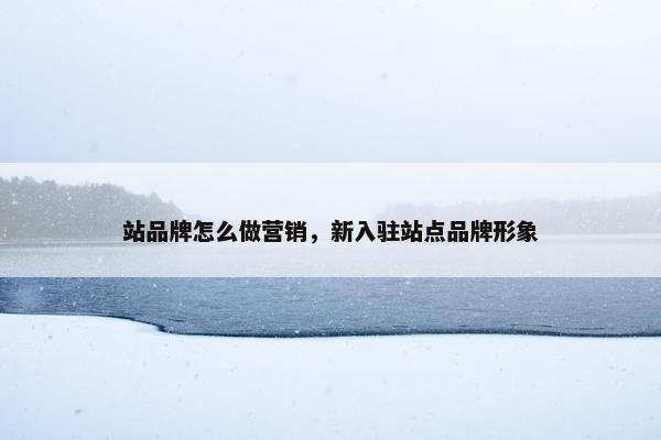 站品牌怎么做营销，新入驻站点品牌形象
