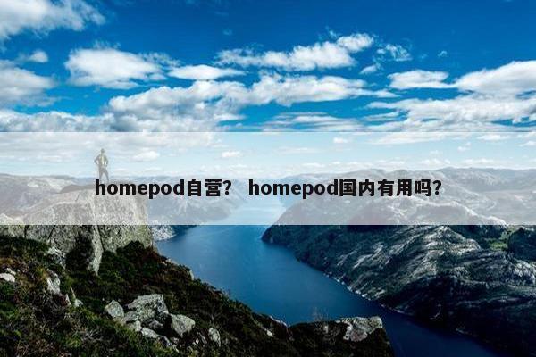 homepod自营？ homepod国内有用吗？