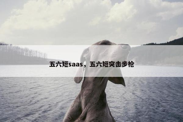 五六短saas,五六短突击步枪