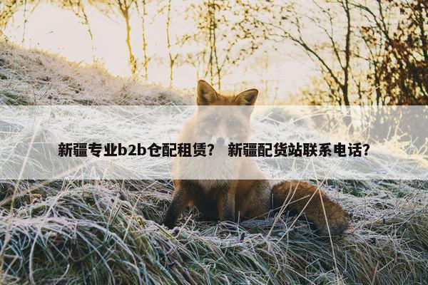 新疆专业b2b仓配租赁？ 新疆配货站联系电话？