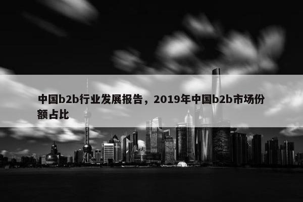 中国b2b行业发展报告，2019年中国b2b市场份额占比