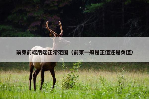 前束前端后端正常范围(前束一般是正值还是负值)