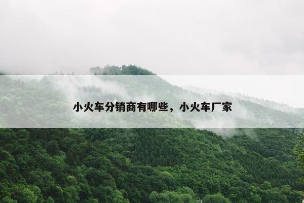 小火车分销商有哪些，小火车厂家