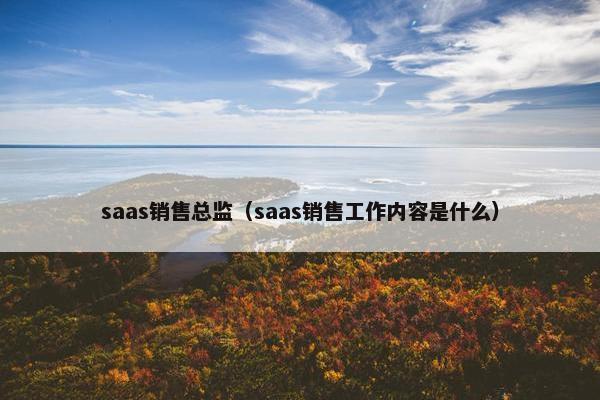 saas销售总监（saas销售工作内容是什么）