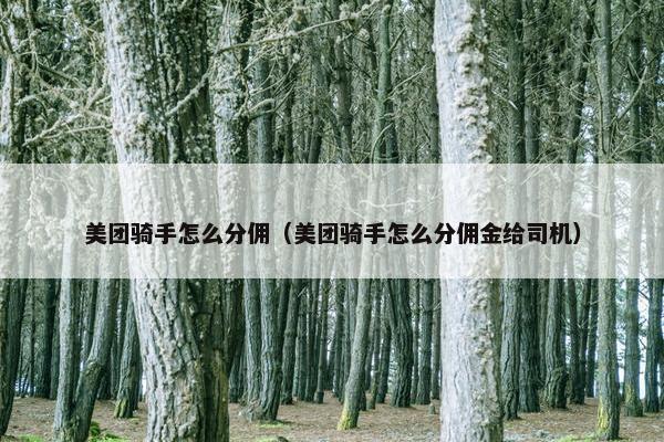 美团骑手怎么分佣（美团骑手怎么分佣金给司机）