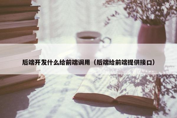 后端开发什么给前端调用（后端给前端提供接口）