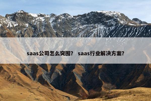saas公司怎么突围？ saas行业解决方案？