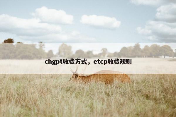 chgpt收费方式，etcp收费规则