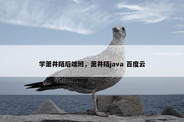 学萧井陌后端班，萧井陌java 百度云