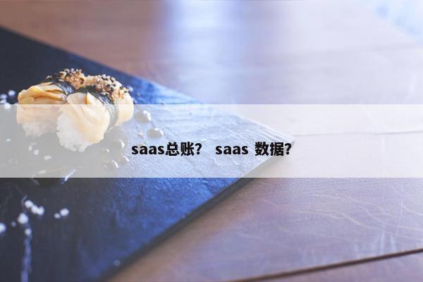 saas总账？ saas 数据？