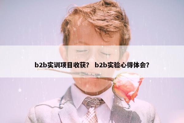 b2b实训项目收获？ b2b实验心得体会？