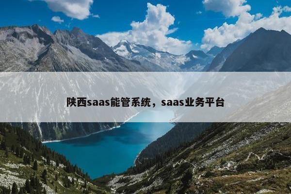 陕西saas能管系统，saas业务平台