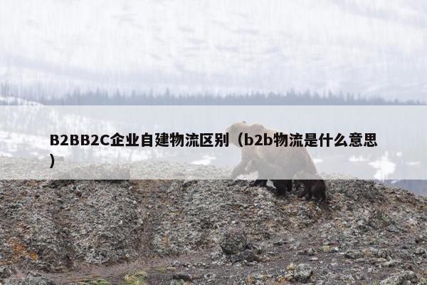 B2BB2C企业自建物流区别(b2b物流是什么意思) B2BB2C企业自建物流区别(b2b物流是什么意思)