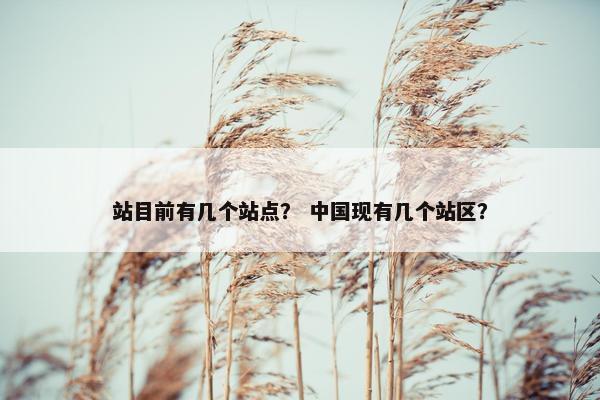 站目前有几个站点？ 中国现有几个站区？