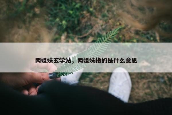 两姐妹玄学站，两姐妹指的是什么意思