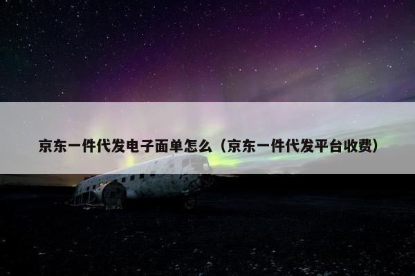京东一件代发电子面单怎么（京东一件代发平台收费）