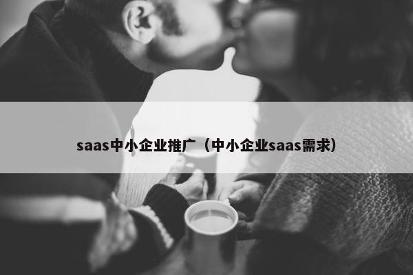 saas中小企业推广（中小企业saas需求）